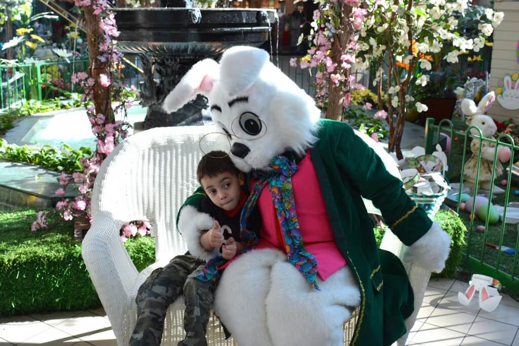 Caring Bunny with Noah Contree