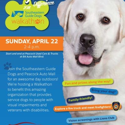 Southeastern Guide Dogs Walkathon at Peacock Automotive