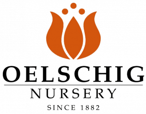 Oelschig's Nursery