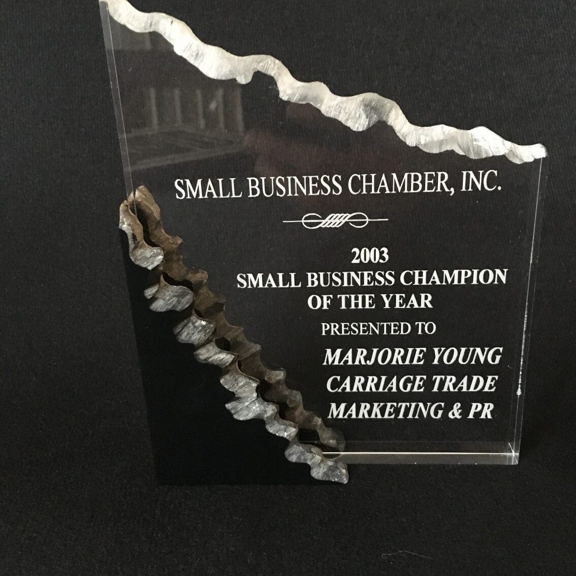 Small Business Champion of the Year